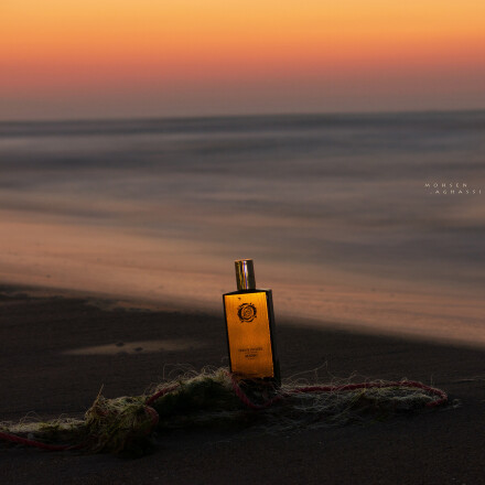 روی تور، لبِ ساحل!