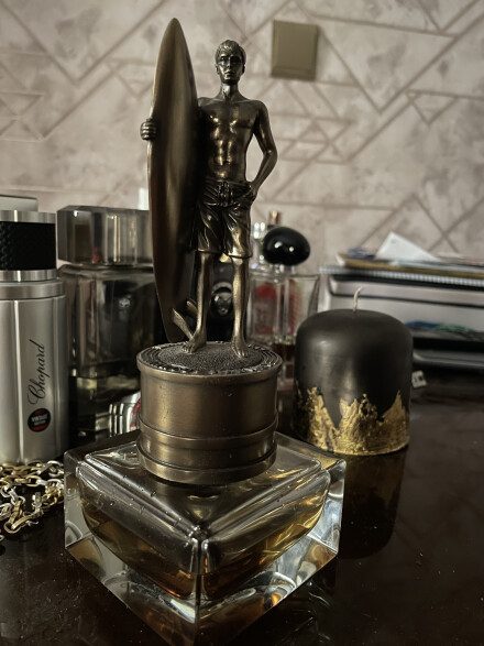 مارکوس هاروی (marcus harway)