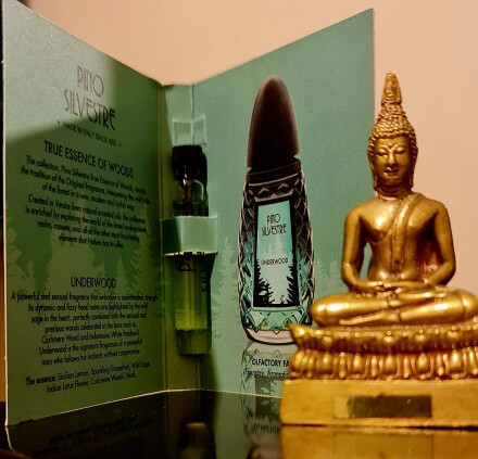 جنگل دوست داشتنی بنام پینو!