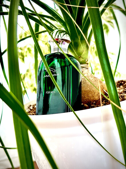 رنگِ روحِ زندگی