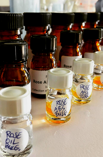 از رز داماسک تا رز سنتیفولیا ، از کازانلاک تا گرس