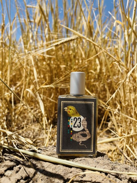 Imaginary Authors - The Cobra & The Canary