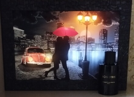 تاریکی در نور...