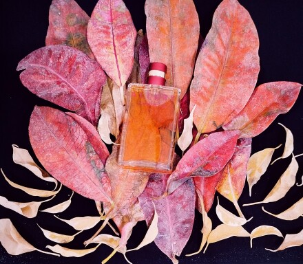 🍁CHANEL-Allure Sensuelle EDP🍁