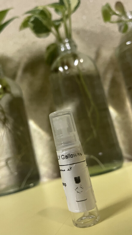 مارلی گالووی( گلووی )