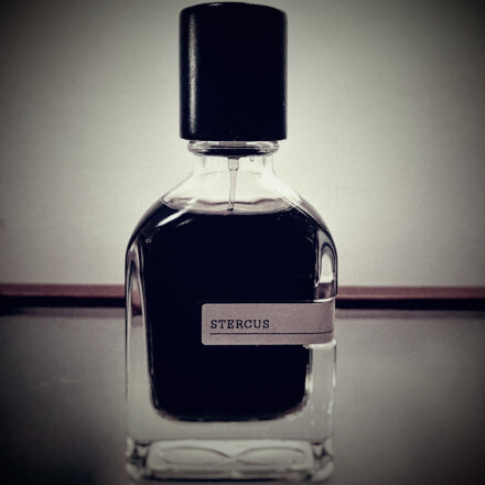 عمیق‌تر نگاه کن...🐈‍⬛🖤