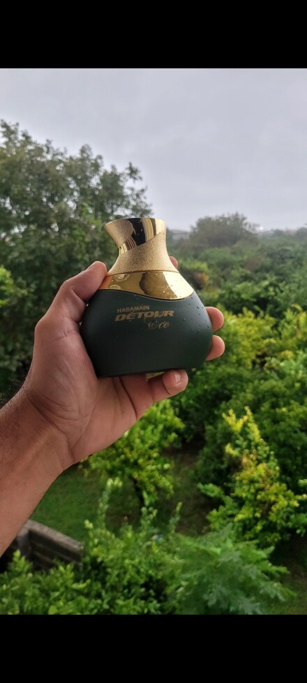 دیتور اکو 💚🌳🌲