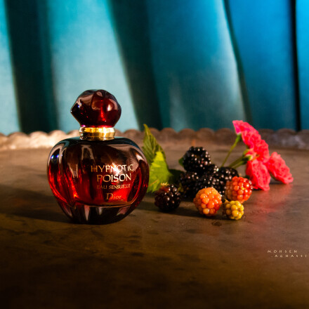 بانوی بالا نشین...