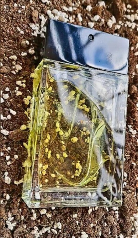 خاکی باشیم!