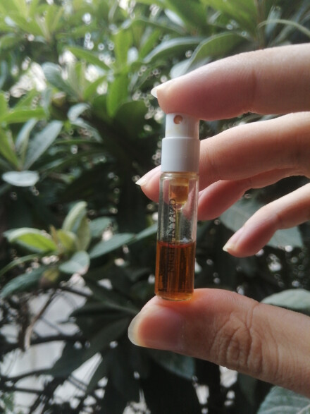 یزد شب ها چه بویی میدهد؟ :)