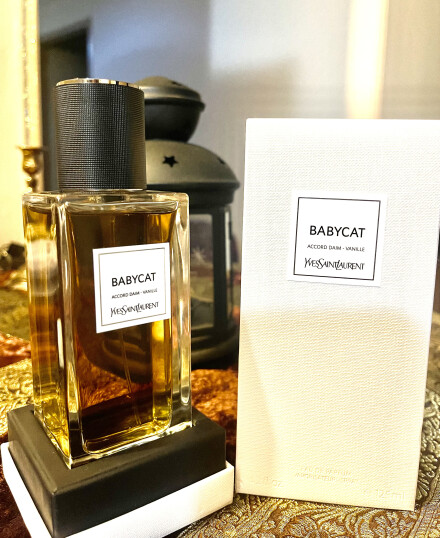 Yves Saint Laurent - BABYCAT