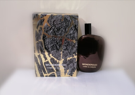 Wonderoud comme des garcons