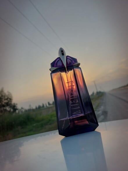 بیگانه ای فراخوانده شده توسط اَبَرمرد حوزه ی مد و فشن، منفرد تیری موگلر 