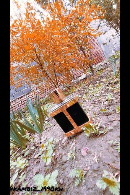 Carolina herrera ch insignia men