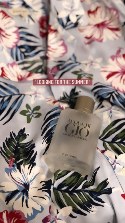 Acqua Di Gio Pour Homme