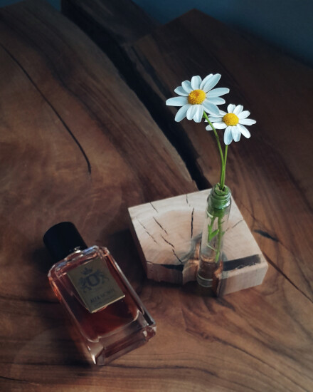 به بهانه‌ی بابونه