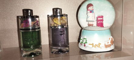 برادران ناهمسان همسان.......