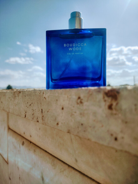 The Beautiful Mind Series# BOUDICCA WODE