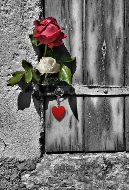 ژولیده ی برنا.....