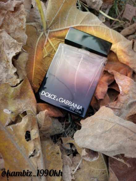 Dolce&Gabbana the one Eau de perfume 