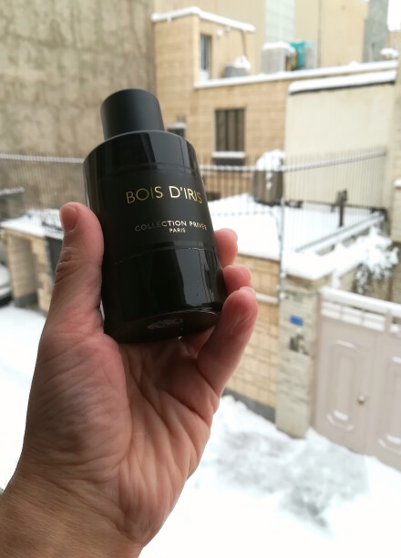 geparlys bois D iris #