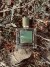 Rogue Perfumery - Mousse Illuminee