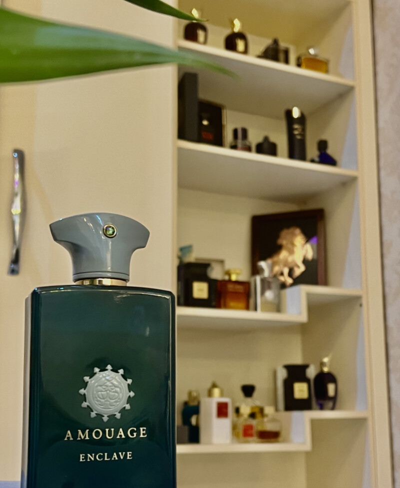 Amouage Enclave و تغییر قفسه