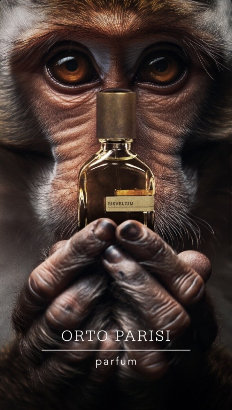 Risvelium ortoparisi