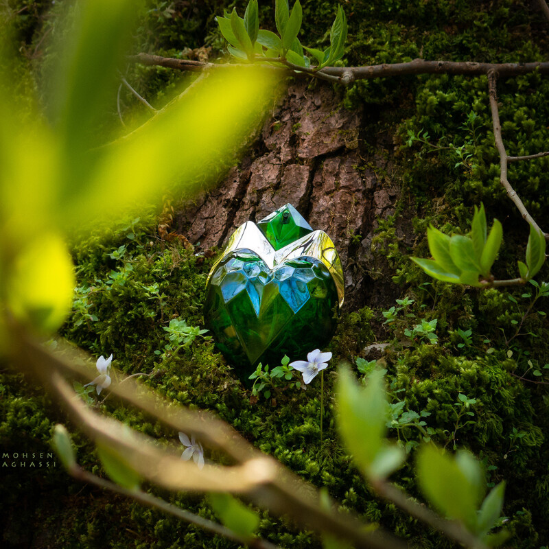 در ستایشِ زندگی...