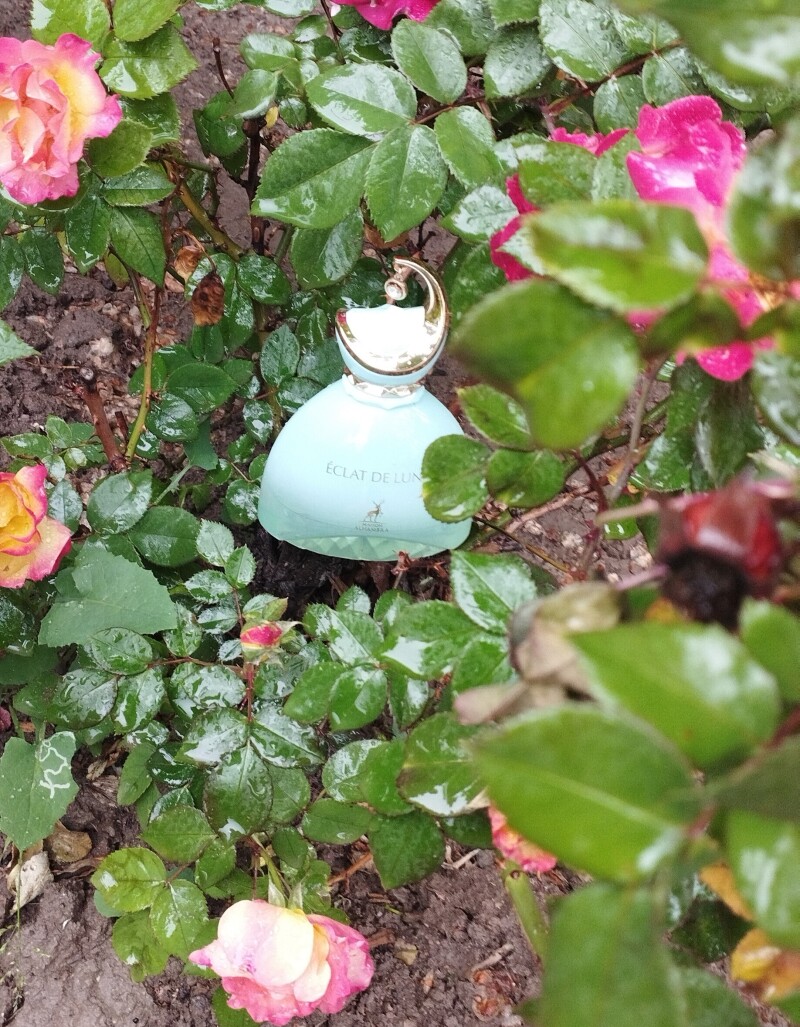 عطر عشق در طبیعت
