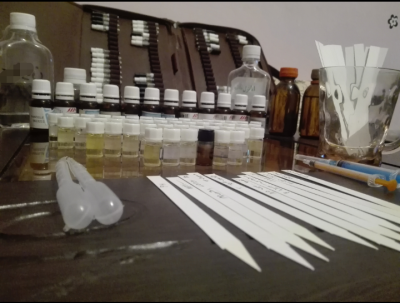 تمرین و بازدید و.....عشق بازی