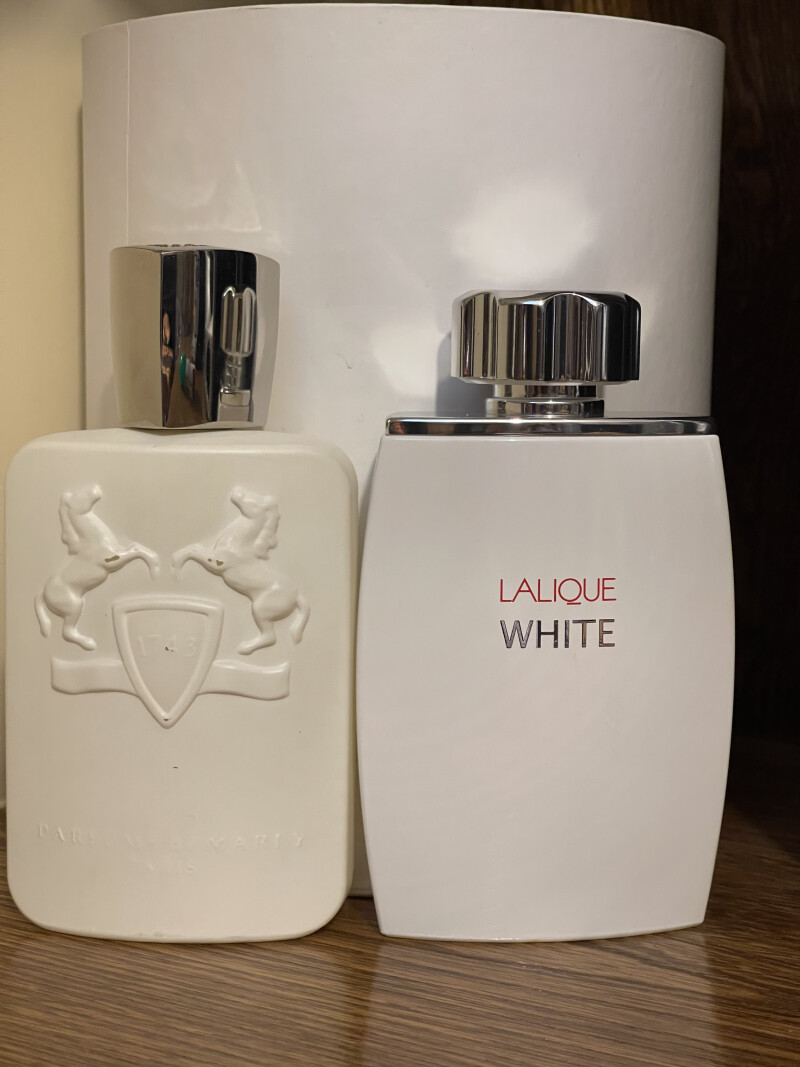 Lalique White &Marly Galloway 