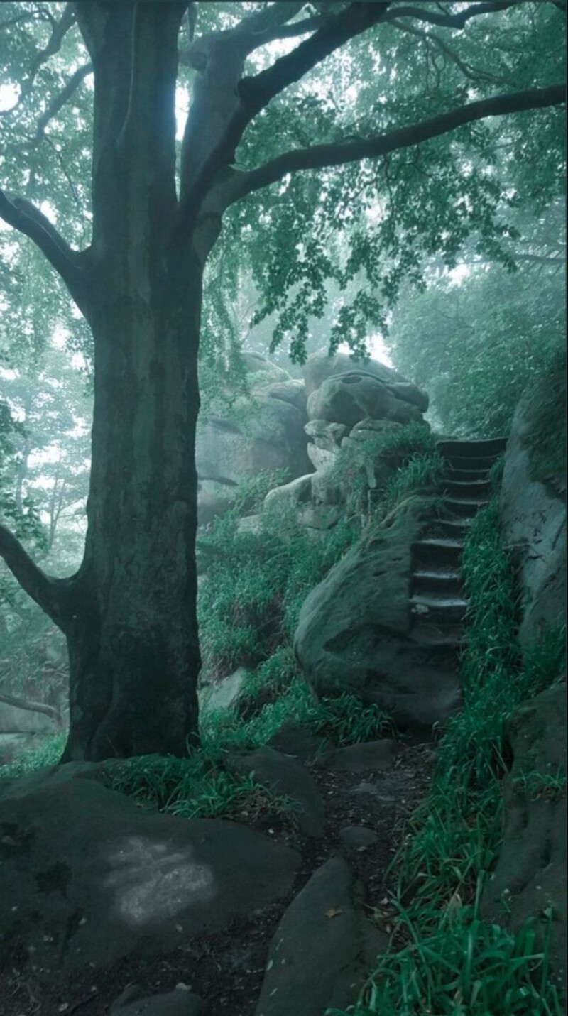 شب عشق خاکی