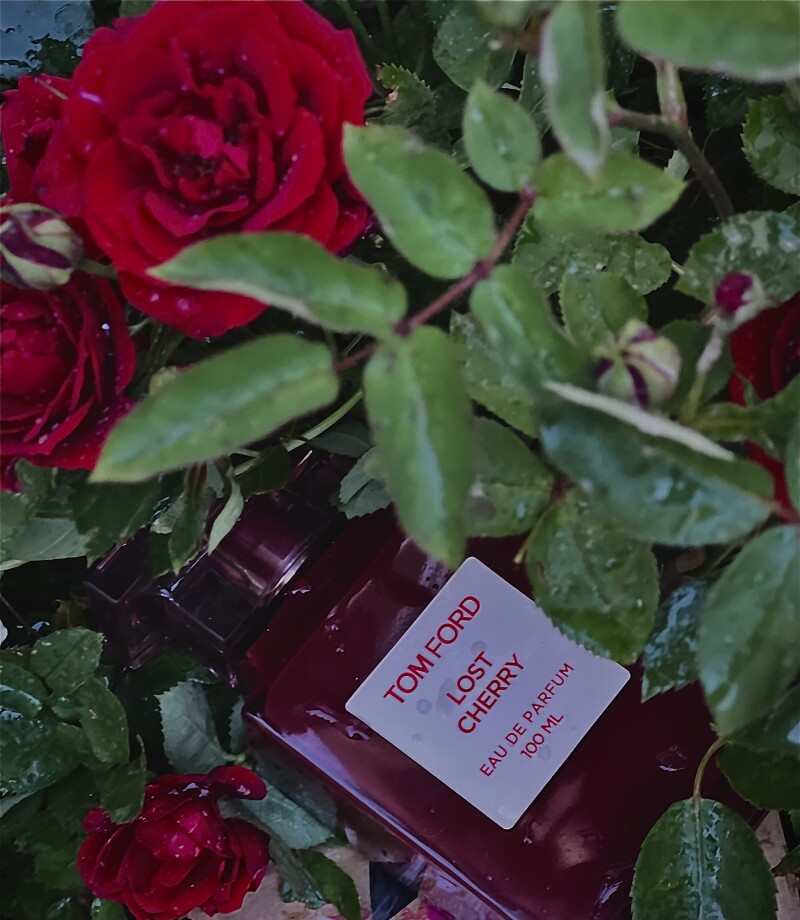 • CHERRY RED GARDEN 