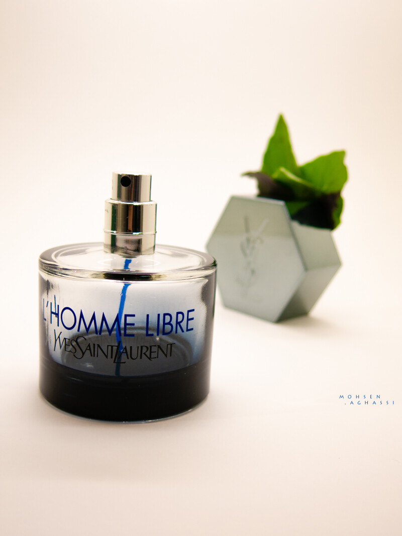 شام حاضری تابستونی! با امضای سن لورن