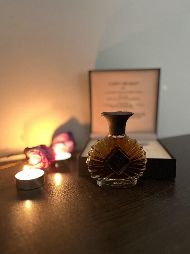 𝕮𝖎𝖛𝖊𝖙 𝖉𝖊 𝖓𝖚𝖎𝖙