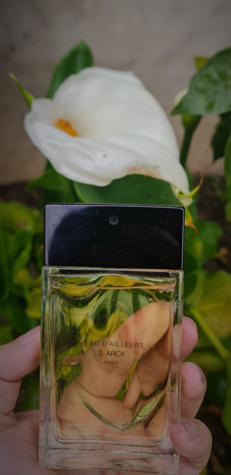 تبریک نوروز باستانی و 21 مارچ روز جهانی عطر