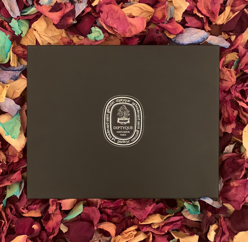 🌌 Diptyque galactics