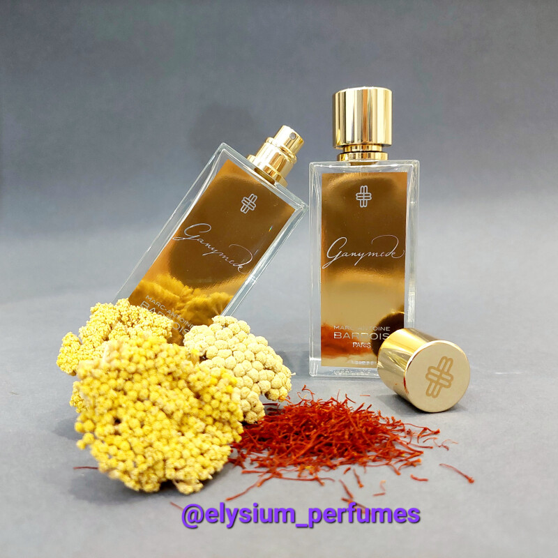 M. A. Barrois ganymede