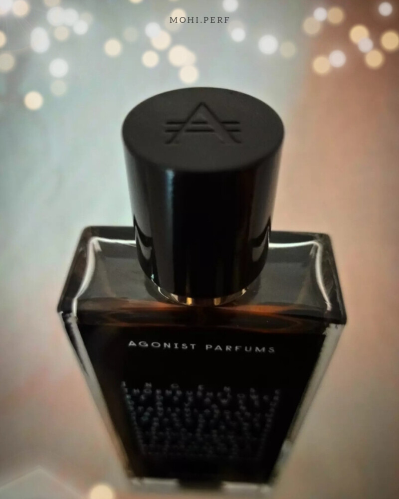 طوفانی مهیب...