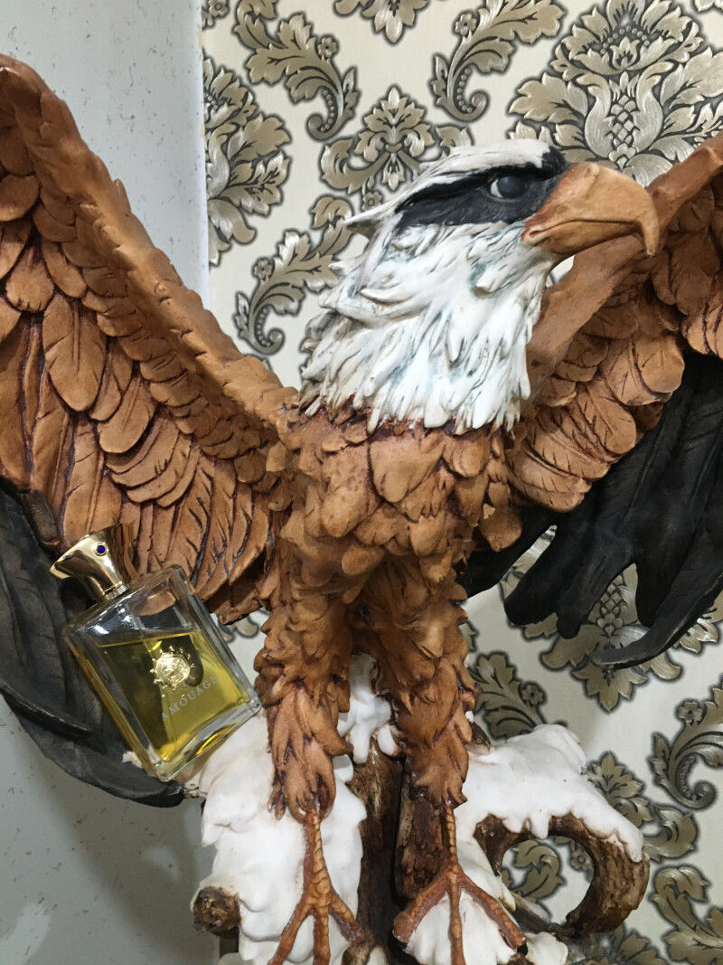 جوبیلیشن عطرافشان جوبیلیشن عطرافشان
