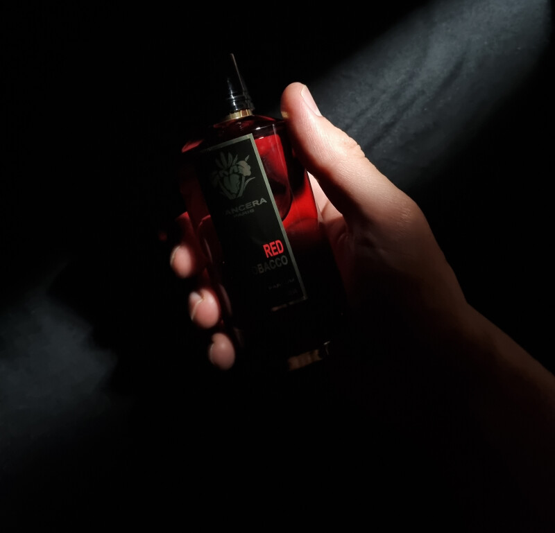 𝐑𝐄𝐃 𝐑𝐈𝐆𝐇𝐓 𝐇𝐀𝐍𝐃