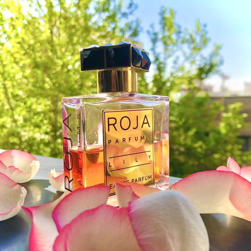 In the Mood for Spring