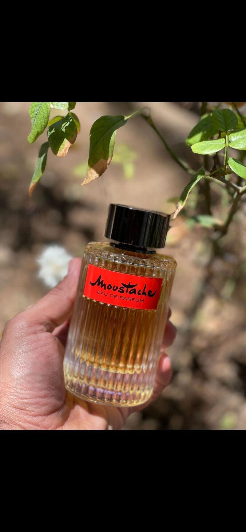 لذت بنز هزینه سمند (ورق بزنید)