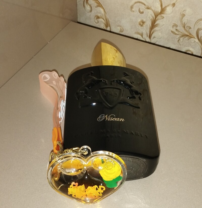 طلوع آفاق.....