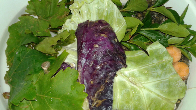 دستیار و کارشناس رایحه بازی من !