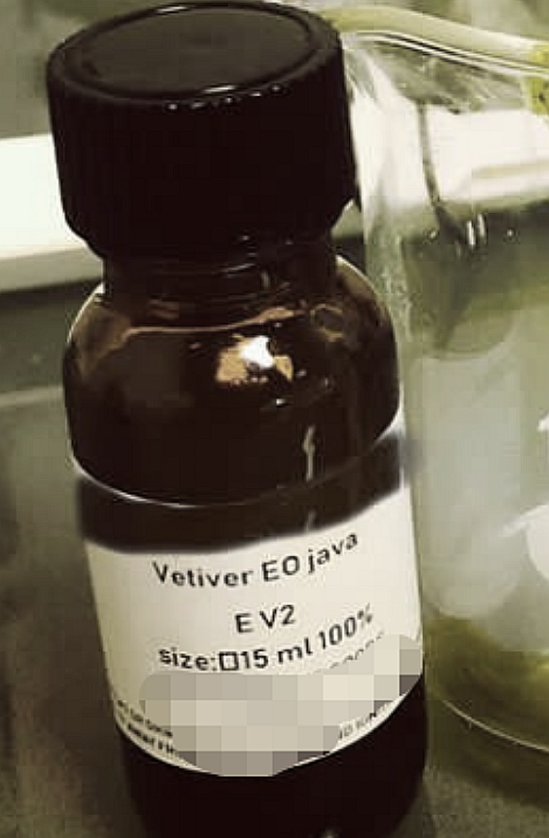 ترکیب اماتوری...عشق بازی