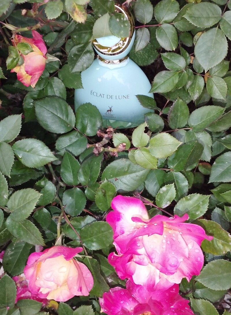 عطر عشق در طبیعت