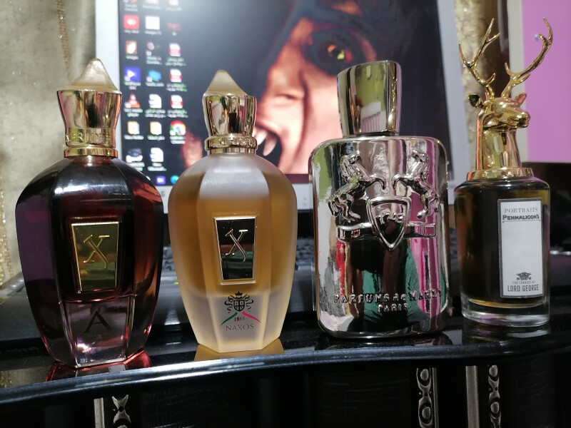 اینم تعدادی از عشقا😍لرد جورج چی میگه اون وسط؟و یه چهارتایی ناب با فیگور نمای رو به رو از پگاسوس🥰🤩