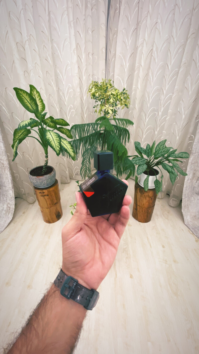 Au Coeur du Désert - در دل صحرا